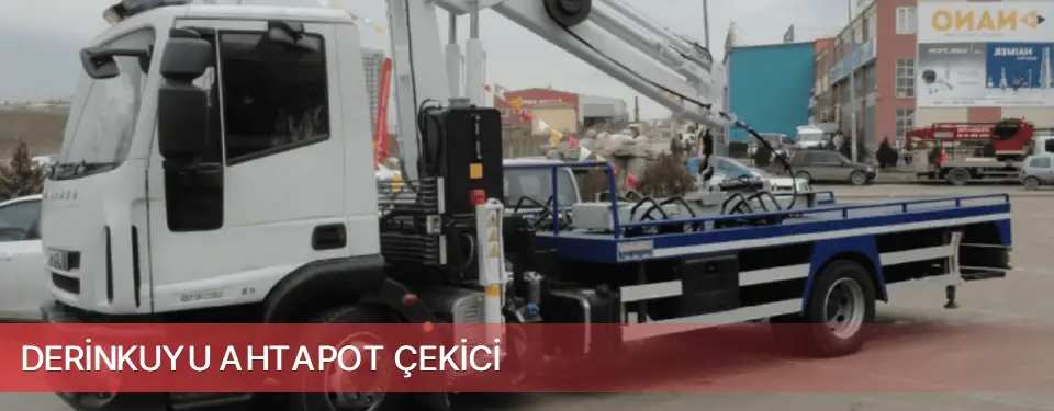 Derinkuyu İlçemi Ahtapot Çekici
